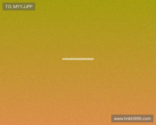 暴龙战士:重燃童年热血,守护心中永恒的勇气与梦想